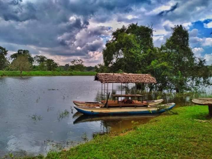 Elephant Safari Lodge Sigiriya Junction Habarana Exterior foto