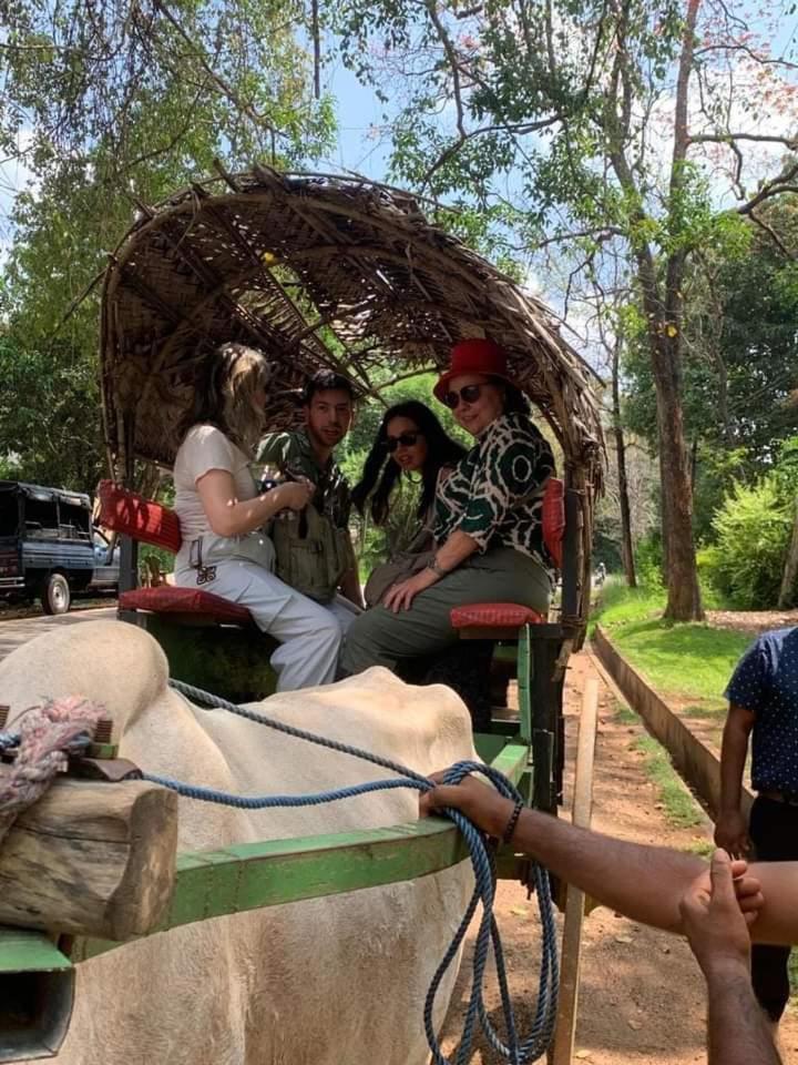 Elephant Safari Lodge Sigiriya Junction Habarana Exterior foto