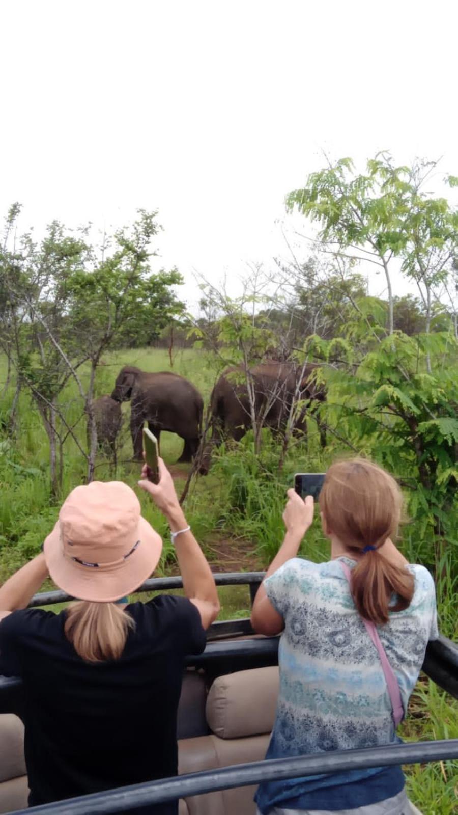 Elephant Safari Lodge Sigiriya Junction Habarana Exterior foto