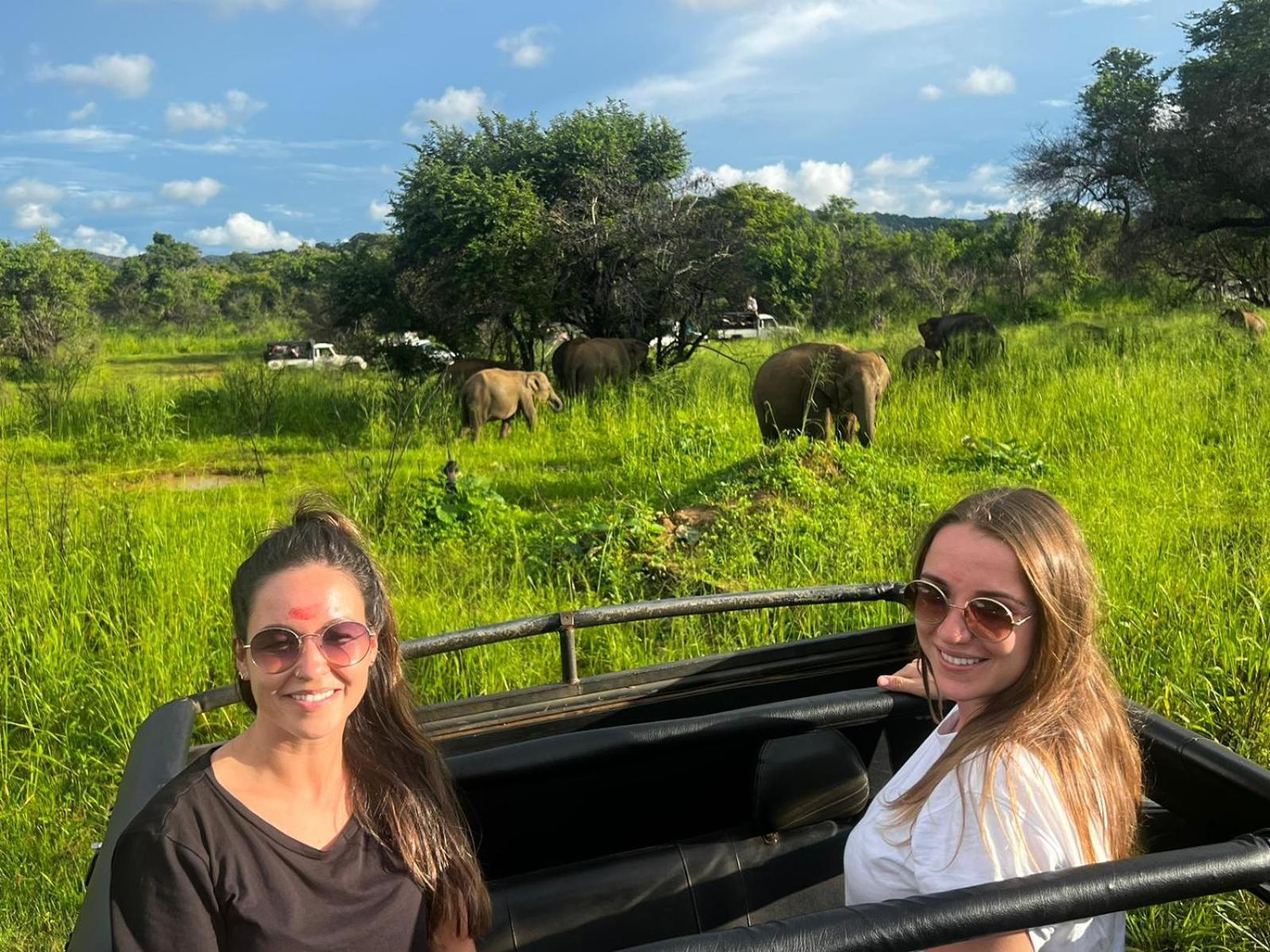 Elephant Safari Lodge Sigiriya Junction Habarana Exterior foto