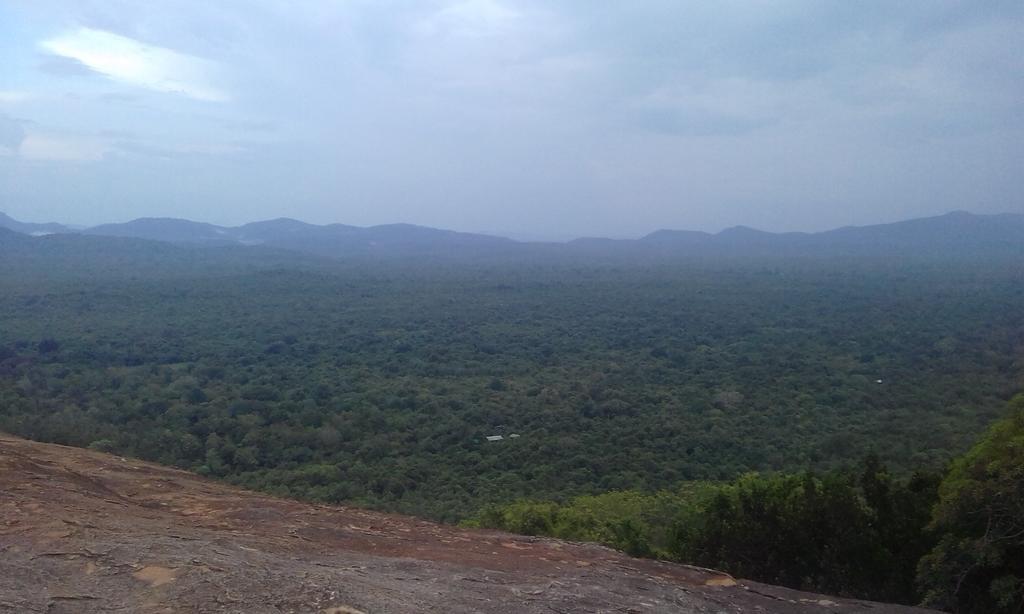 Elephant Safari Lodge Sigiriya Junction Habarana Exterior foto