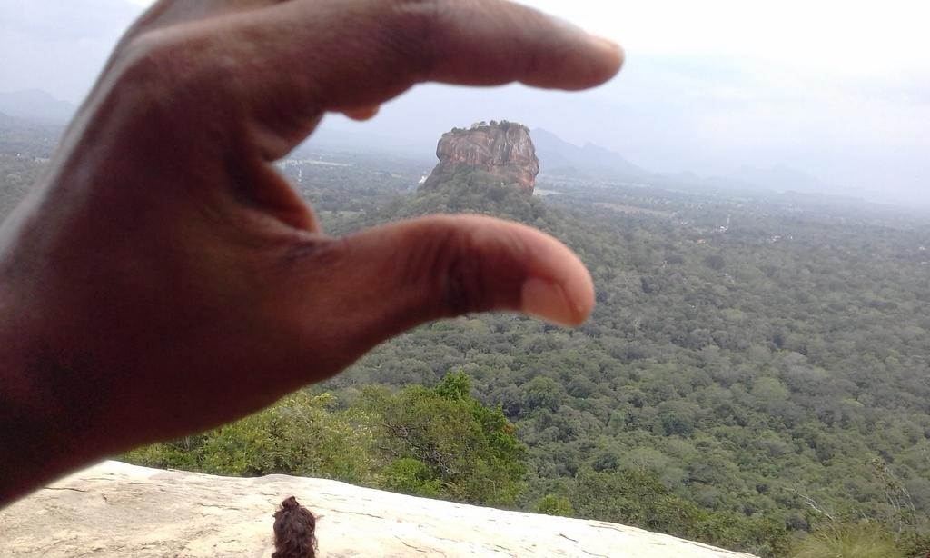 Elephant Safari Lodge Sigiriya Junction Habarana Exterior foto