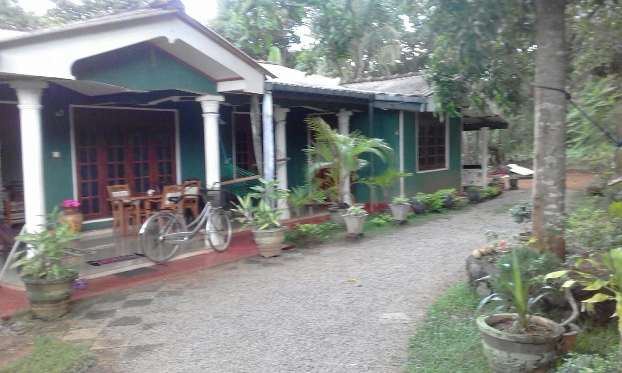 Elephant Safari Lodge Sigiriya Junction Habarana Exterior foto